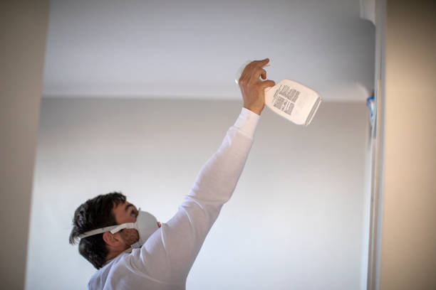 Best Health and Safety Mold Remediation in Lincoln Village, OH